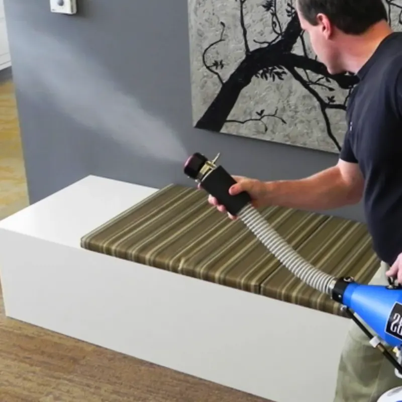 Professional Odor Removal in Cresaptown, MD