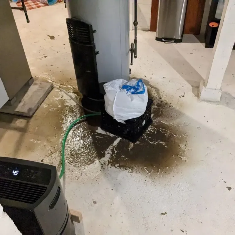 Sewage Backup Cleanup Service in Cresaptown, MD